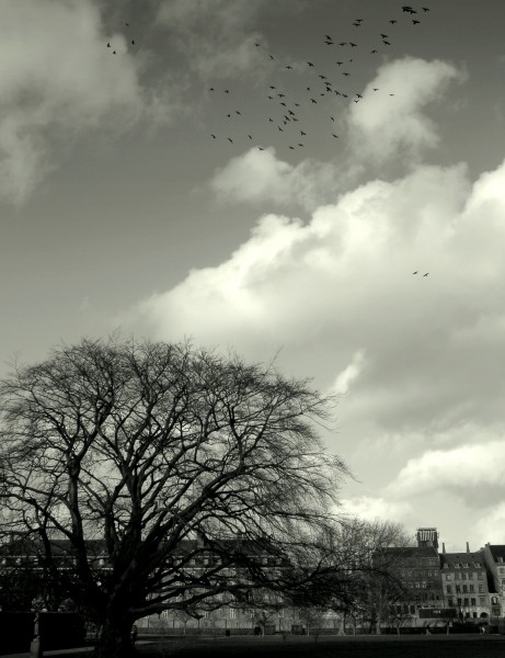 s_ndag_d_17_011 s_ndag_d_17_011