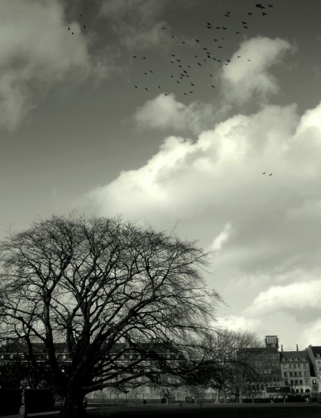 s_ndag_d_17_011 (4)