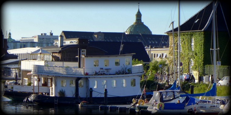 Oaser, Christianshavn 13.8.2015 203